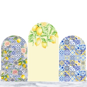 Lemon Double-Sided Arch Cover Birthday Party Photography Backdrop Polyester Blue And White Porcelain Mediterranean Pattern Arch Cover Prop