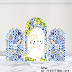 She found her Main Squeeze Arch Backdrop Lemon Tiles Wedding Shower Backdrop Polyester Blue And White Porcelain Double-Sided Arch Cover