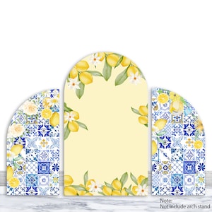 Lemon Double-Sided Arch Backdrop Cover Birthday Bridal Shower Backdrop Polyester Blue And White Porcelain Arch Cover Party Decorations