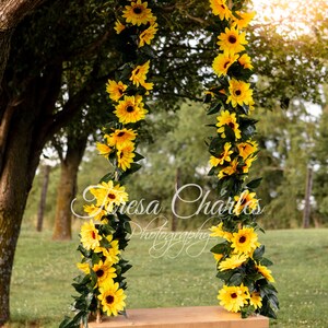 Sunflower Swing II Digital Backdrop Background Instant Download without watermark High Resolution JPEG Image