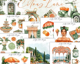 Citrus Lane Mini Planner Decorative Sticker Kit | Journaling | Planner Stickers | Bullet Journal | Summer Stickers | Journal Stickers
