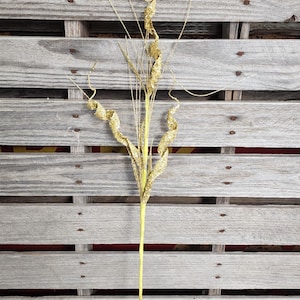 30&quot; Gold Glitter Curly Spray - Christmas Party Supplies Decorations