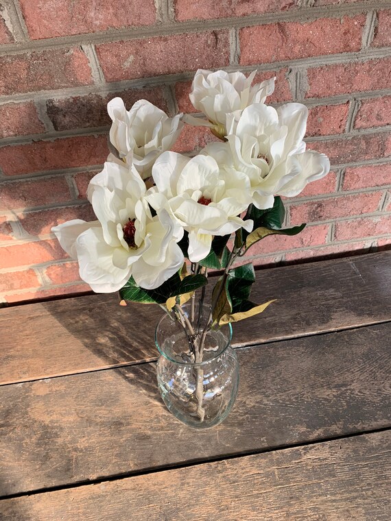 23 Magnolia Bush X5 Cream White Off White Wedding Etsy