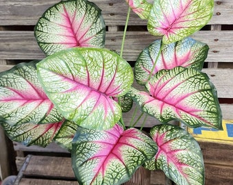 26" Artificial Caladium Bush - Trending Greenery Fake Stem Leaf Leaves Filler Floral Arrangement Supplies