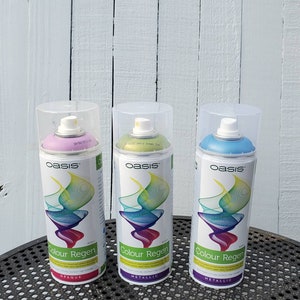 Oasis Colour Regen Spray Paint 12 oz Can~ Floral Paint Supplies