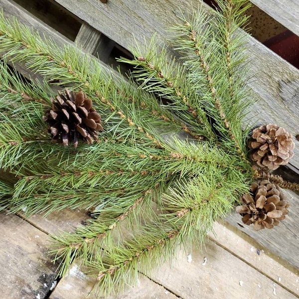 32" Pine branch with Pine Cone Picks- Holiday Pine Filler Decor