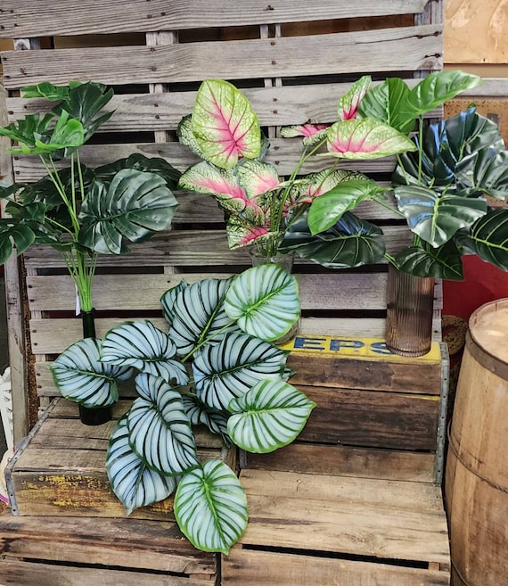 fake calathea Artificial Calathea Plant