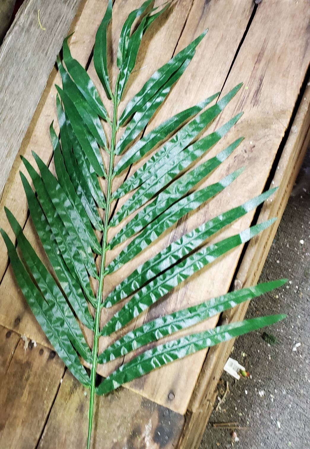 29 Silk Palm Stem dozen stems Artificial Trending Etsy.de