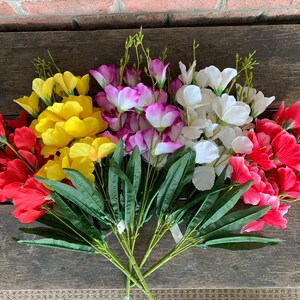 5 COLORS 22 Gladiouls Iris Bush Red Yellow Purple White Hot Pink Beauty image 2