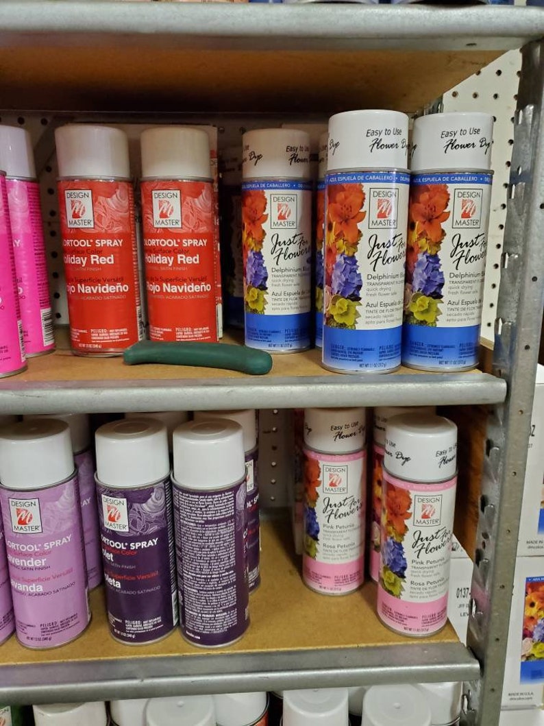 Design Master Spray Paint 12 Oz Can Made in the USA Floral Etsy