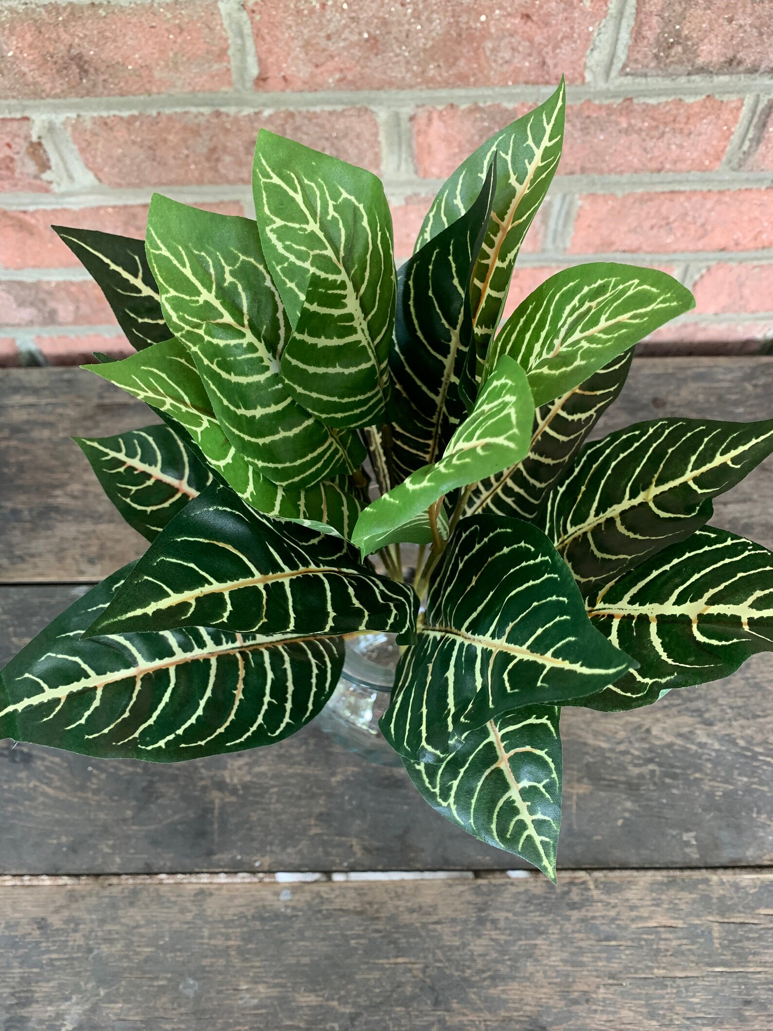 16 Zebra Plant With 18 Leaves Artificial Fake Silk Etsy