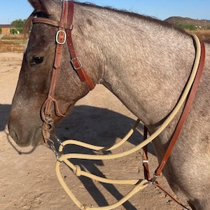 May include: A close-up of a horse wearing a brown leather bridle and a beige rope halter. The horse has a gray coat and is outdoors in natural light. The bridle has silver-colored metal hardware.