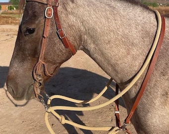 May include: A close-up of a horse wearing a brown leather bridle and a beige rope halter. The horse has a gray coat and is outdoors in natural light. The bridle has silver-colored metal hardware.