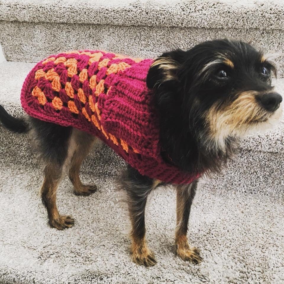 granny square dog sweater