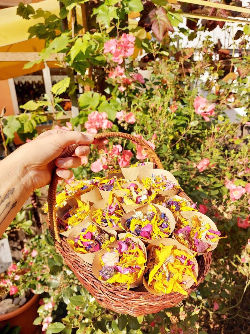 25er Pack Blütenkonfetti – 100 % Natürliche Getrocknete Rosenblätter, Biologisch Abbaubar Für Hochzeit & Deko