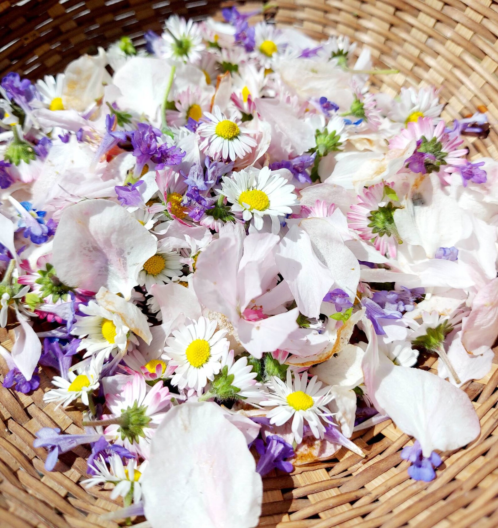 250g Echte Rosenblätter Konfetti - Natürliche Blütenblätter Für Hochzeit & Party