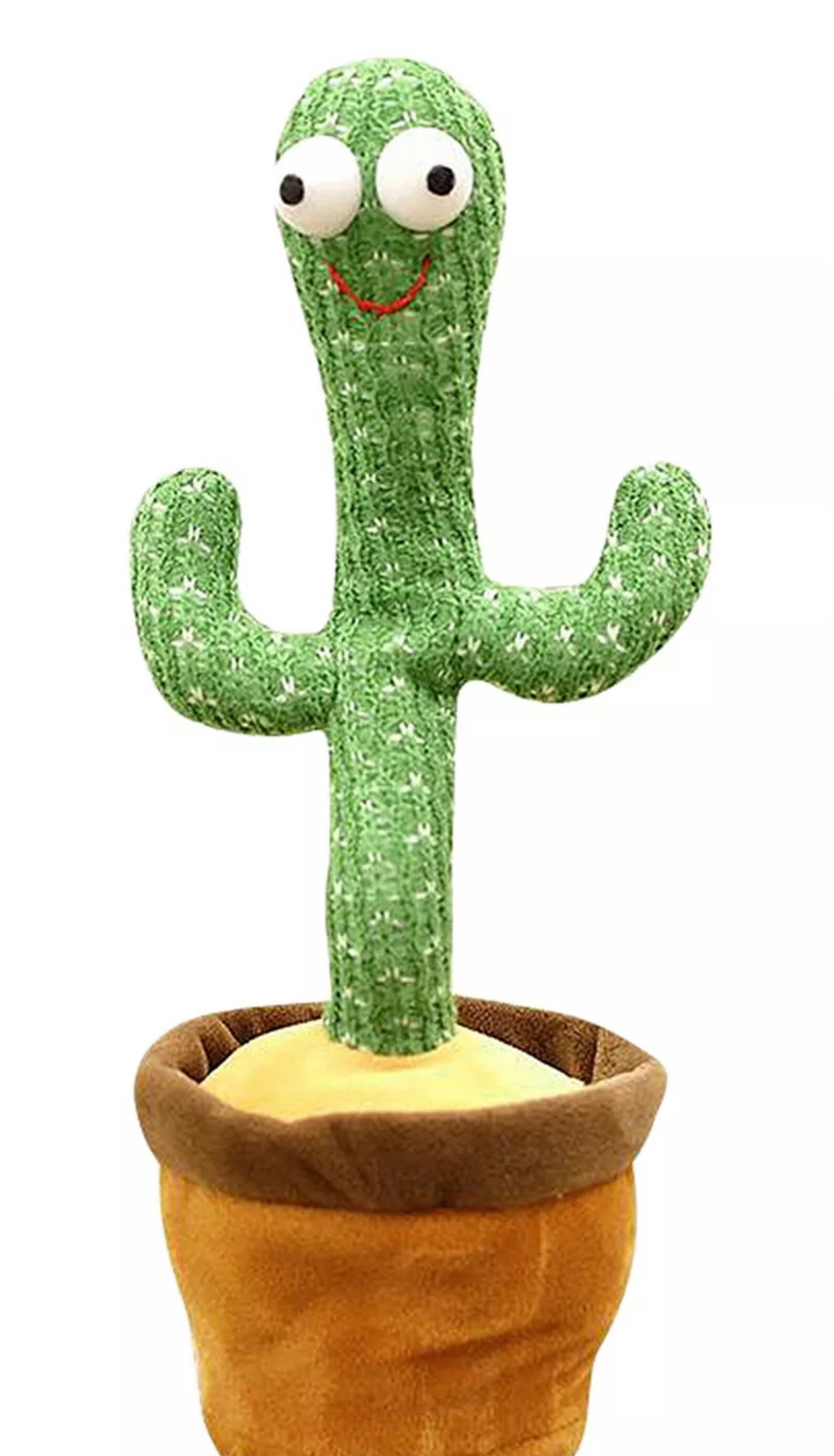 cactus music gift certificate cactus music gift certificate