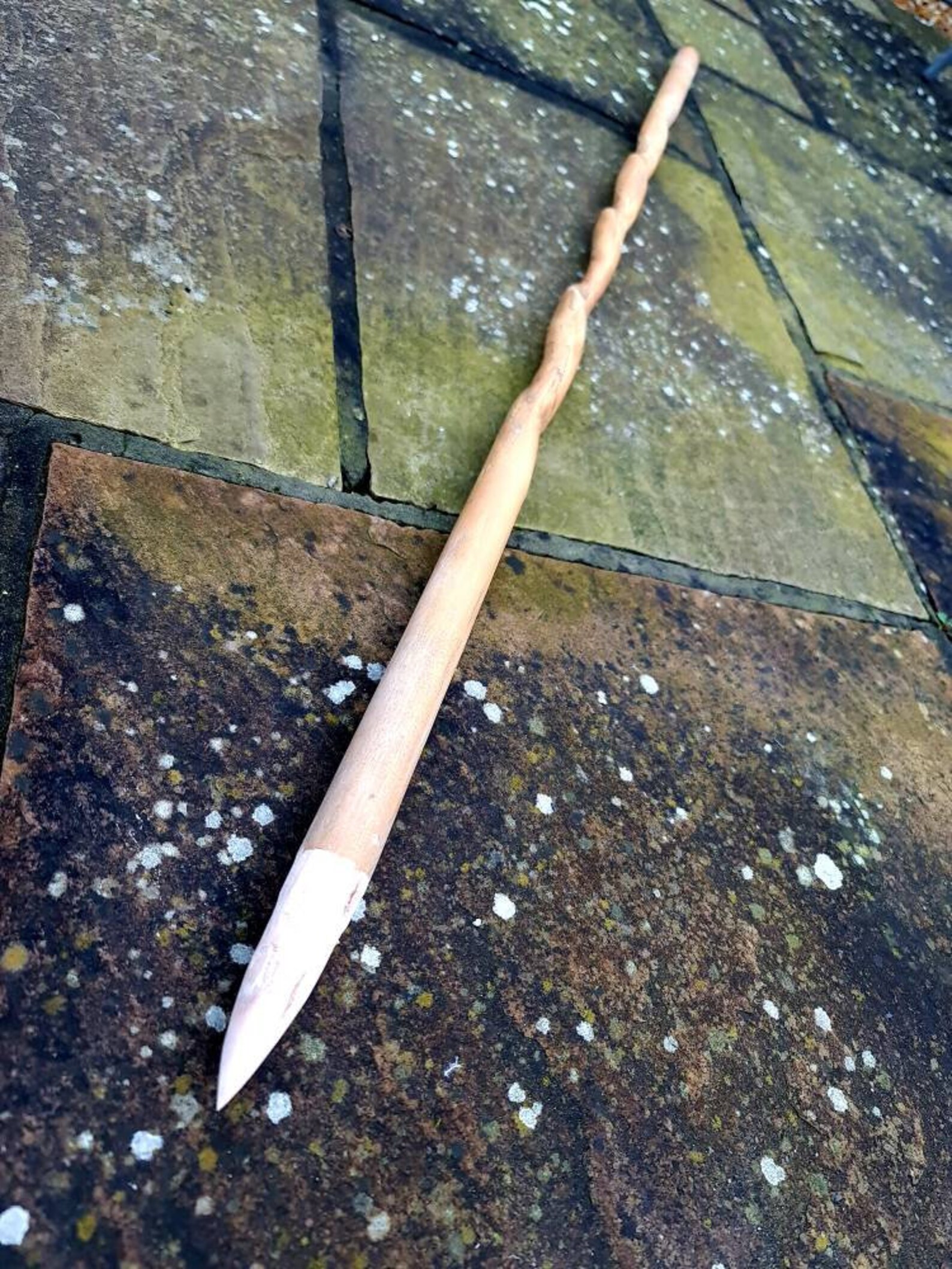 Bo Staff Inspired by 'the Walking Dead' Etsy