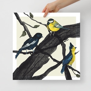 Birds in the tree. Yellow and black birds sitting on branches poster print