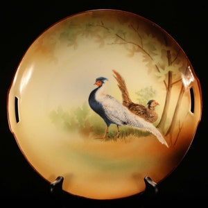 Vintage early 20th century Pheasant cake plate Hand painted RS Germany Man cave wall art Fathers Day Gift Hunters Gift Mens vanity tray