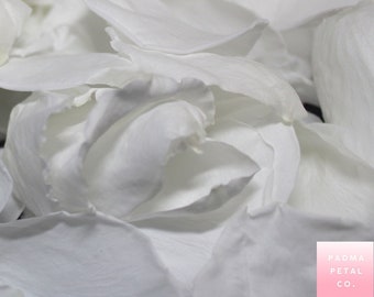 White Rose Petals, Pure White preserved rose petals - wedding confetti, decoration, biodegradable