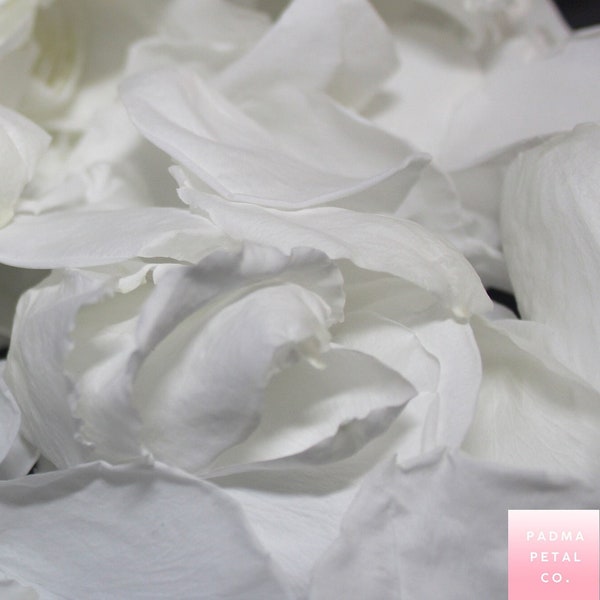 White Rose Petals, Pure White preserved rose petals - wedding confetti, decoration, biodegradable