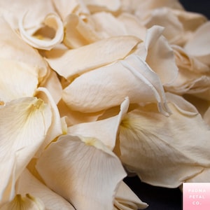 Champagne Rose Petals for weddings, preserved rose petals - wedding confetti, decoration, biodegradable