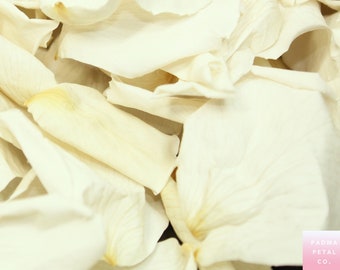 White Rose Petals, Ivory preserved rose petals - wedding confetti, decoration, biodegradable