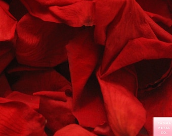 bradlyandblakesmom 50000pcs Rose Artificial Petals Wedding Decorations 