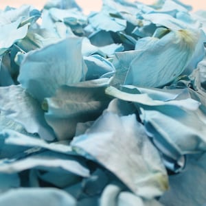 Turquoise Blue Rose Petals for weddings, royal blue preserved rose petals - wedding confetti, decoration, biodegradable