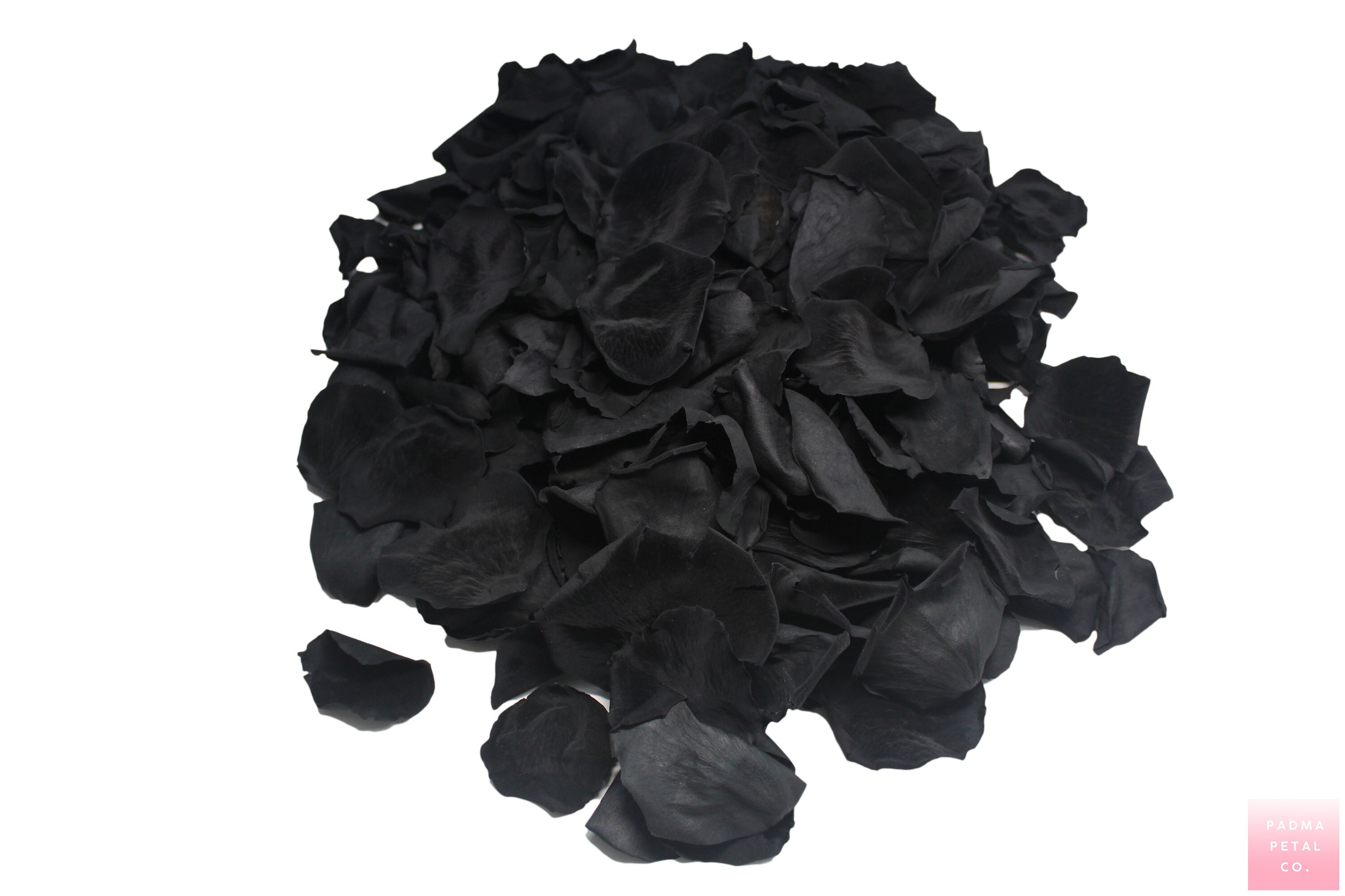 Black Rose Petals Matte Black Preserved Rose Petals Wedding Etsy UK