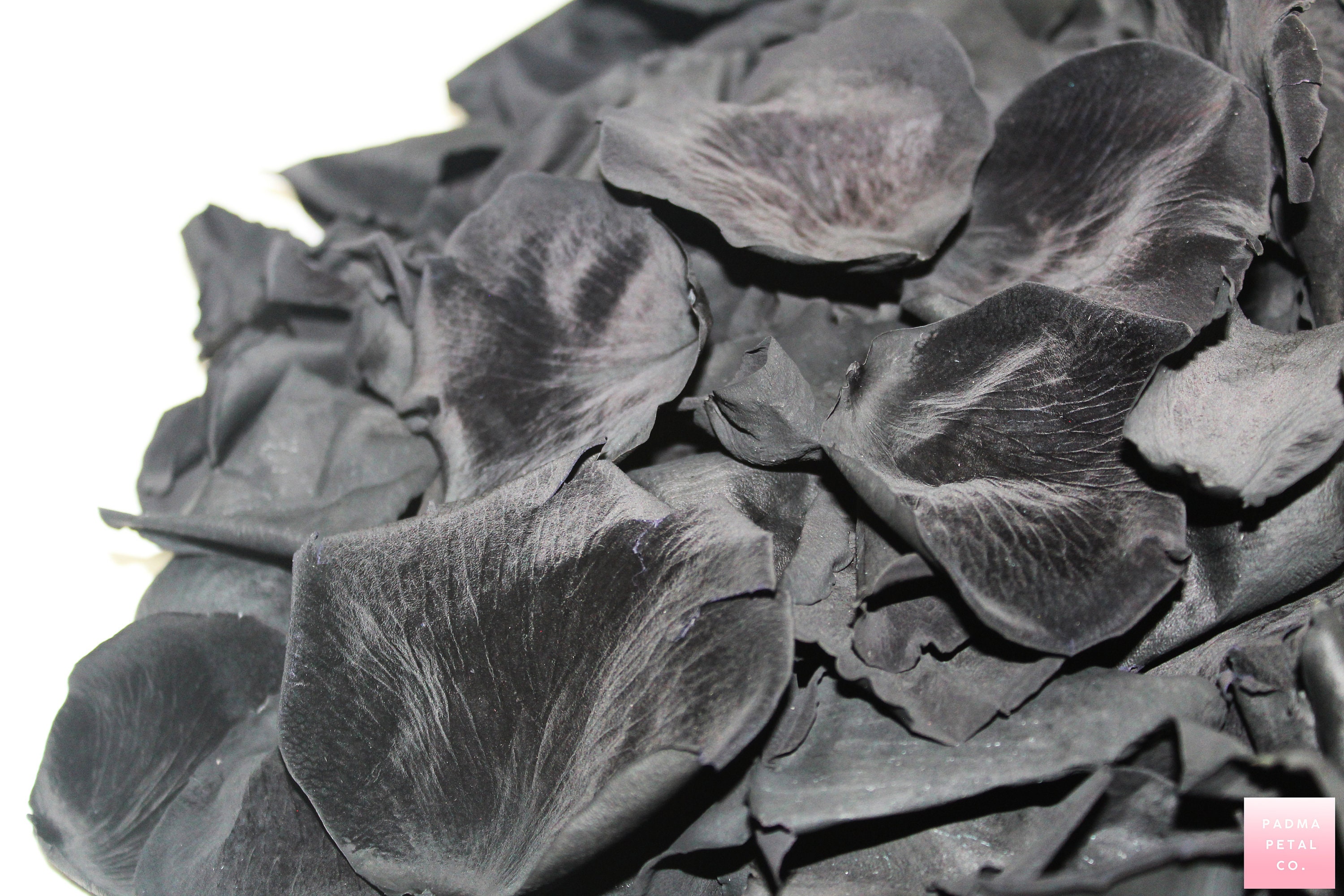 Black Rose Petals matte black preserved rose petals wedding Etsy
