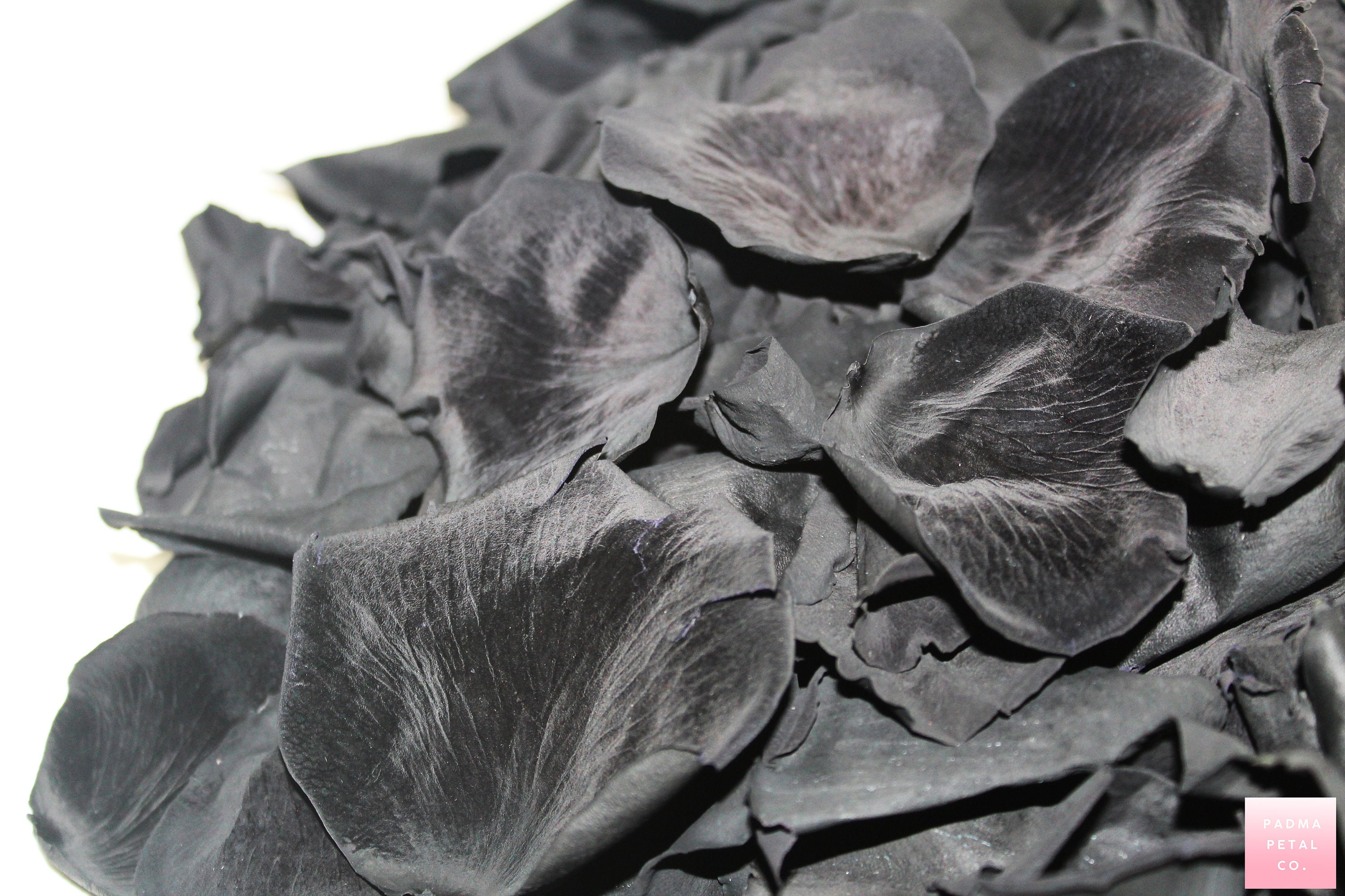 Black Rose Petals, Matte Black Preserved Rose Petals Wedding Confetti,  Decoration, Biodegradable 