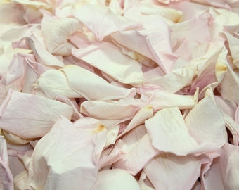 Blush Rose Petals for weddings, pink/white preserved rose petals - wedding confetti, decoration, biodegradable