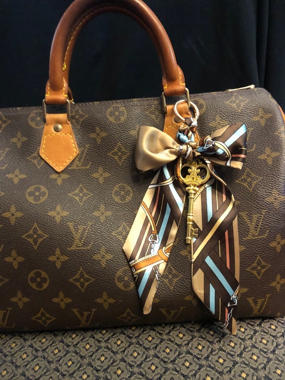 Speedy 25 with twilly and charm  Scarf on bag, Louis vuitton