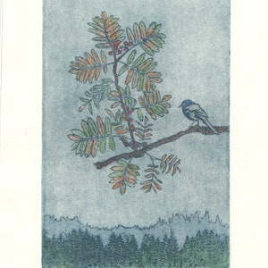 Autumn bird, etching & aquatint