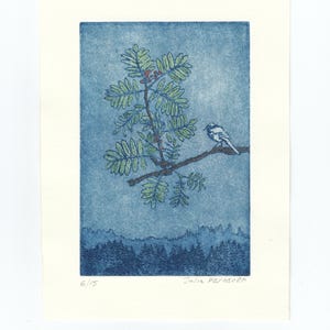 Puede incluir: Una estampa azul y verde de un pájaro posado en una rama con un árbol. La estampa tiene una escena de bosque en el fondo. La estampa está numerada 6/15 y firmada por Julia Pennanen.