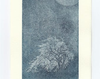 North sakura, etching and aquatint