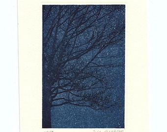 Oak tree, etching and aquatint
