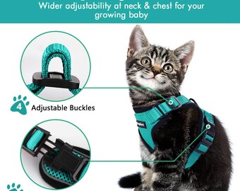 cat harness for sale