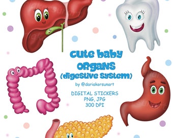 Cute Baby Organs Digital Clipart Medical notes Science Art Digestive System Biology Stickers Educational prints Medical Flashcards SciArt