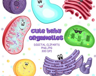 Cell Biology Cute Baby Organelles Digital Cliparts Biology notes Science Biology Scheme Biology Stickers Educational prints Flashcards