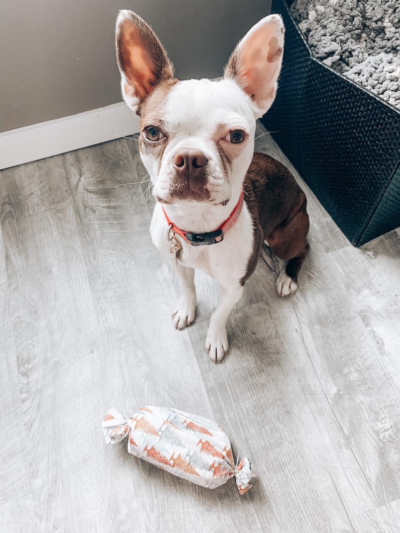 tootsie roll dog toy