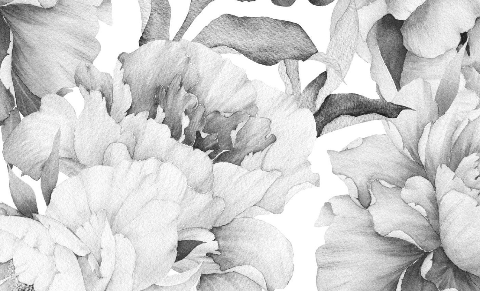 Peony peel and stick Floral gray wallpaper Peonies Wall Etsy