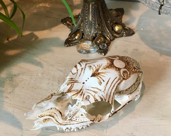 Skull art - pyrography - burnt Doe skull - Goddess design -1 of a kind fine art 0-waste natural altar ceremonial tool honor process of life