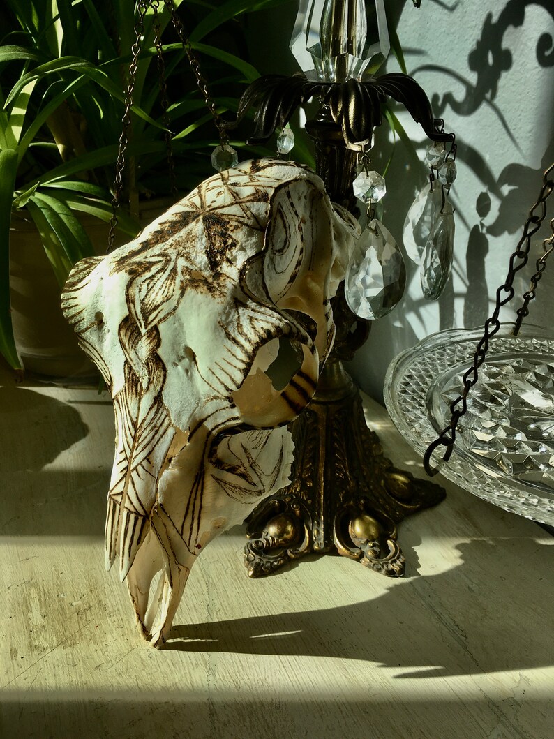 May include: A white animal skull with intricate etched designs hangs from a gold chain. The skull is decorated with a geometric pattern and is suspended from a crystal chandelier.