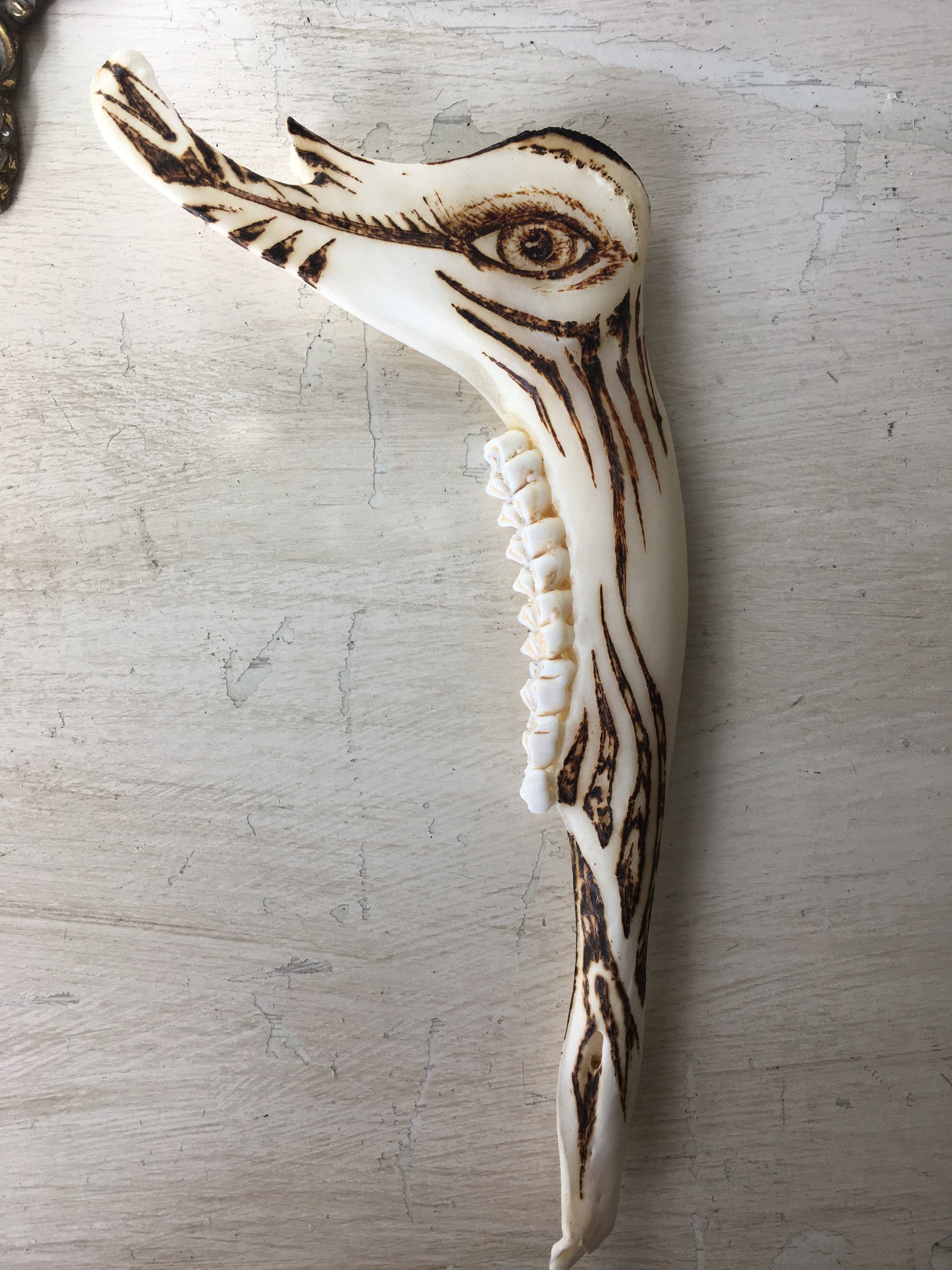 Eye Burnt Bone Art - Jaw Bone Pyrography - Altar Fine Art - Ceremonial ...