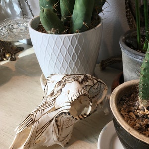 May include: A white ceramic pot with a diamond pattern holds a green cactus plant. A white animal skull with a detailed burned design sits on a light wood surface.