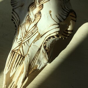 May include: A white animal skull with intricate black designs burned into the surface. The skull is lying on a light wood surface.