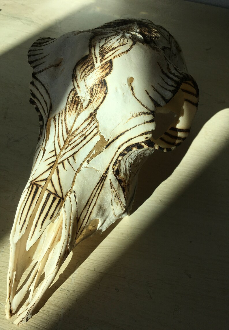 May include: A white animal skull with intricate black designs burned into the surface. The skull is lying on a light wood surface.